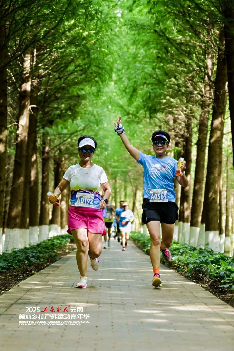 com, 刘洪斌, vmP