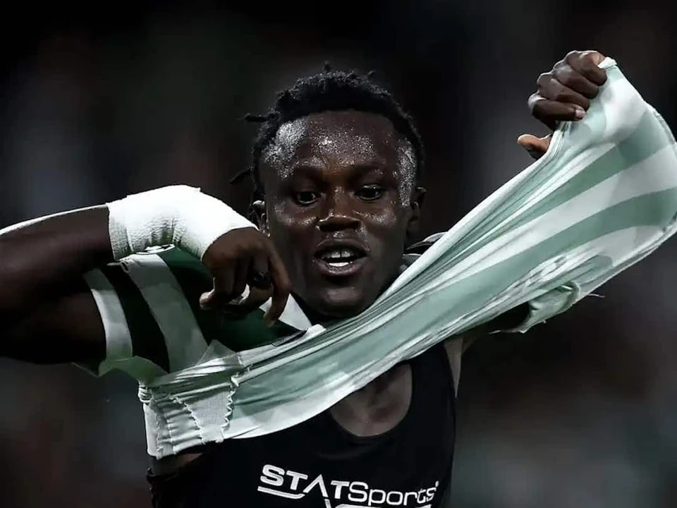 entit, 在总共 entit, 在总共